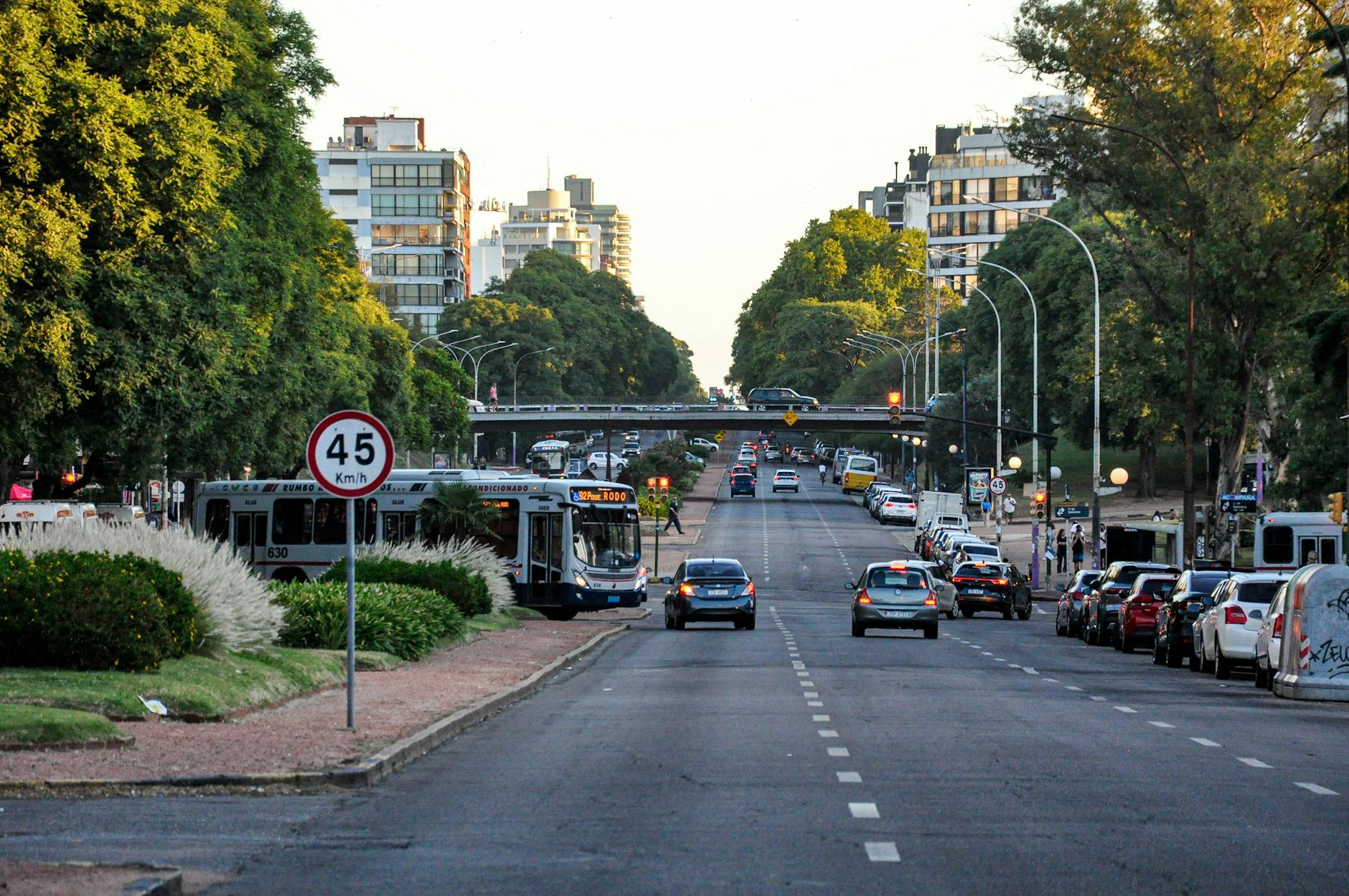 Zgierz walczy o dotację na remont linii 45
